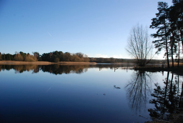 Large pond, trees and blue sky