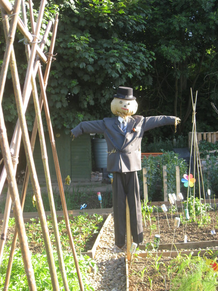 Scarecrow in a suit and hat in an allotment.
