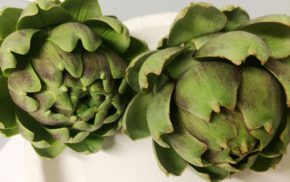 Two fresh green artichokes on a white plate