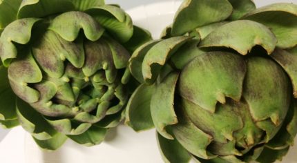 Two fresh green artichokes on a white plate