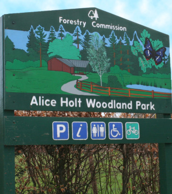 Green, wooden entrance sign for Alice Holt Forest. Illustration of forest and symbols showing facilities