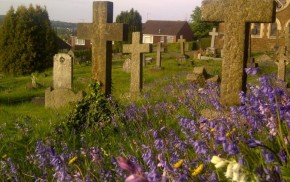 Cross shaped headstones, purple wild flowers in forground