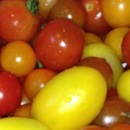 Red, orange and yellow tomatoes