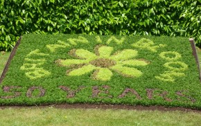 Britain in Bloom spelled out with plants. © Farnham Town Council