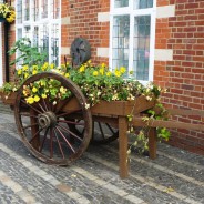 Hop cart planted with yellow flowers.