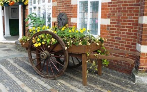 Hop cart planted with yellow flowers.