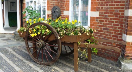 Hop cart planted with yellow flowers.