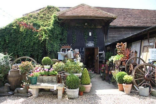 Pots of shrubs and ornamental trees outside old barn.