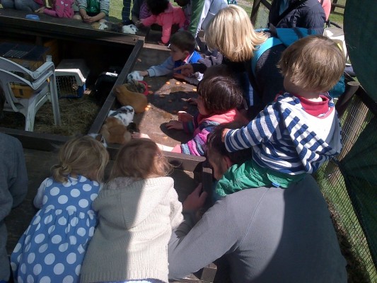 Group of children, guinea pigs