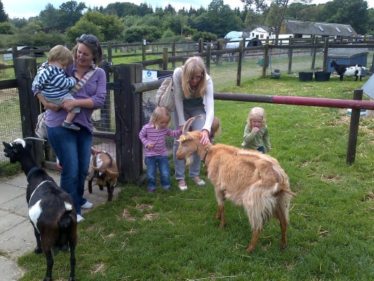 Two females, and children feeding goats at a farm