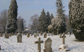 Snow, grave stones, trees in background, blue sky