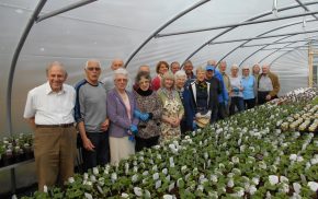 Group of people in greenhouse in front of hundreds of plants.