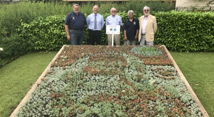 Five people standing behind a flower bed