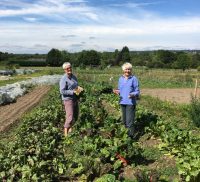 Two females in a field of vegetables