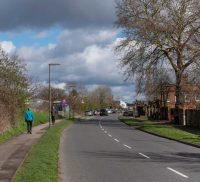View along a tree lined road. People walking on the grass lined footpath.