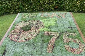 carpet bed planted to show poppy and 75